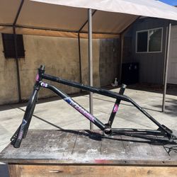 1986 GT  FS Stamped Pro Performer Frame And Forks 