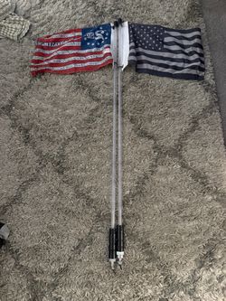 4 ft light whips