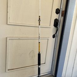 Fishing Rod