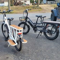 Radwagon Electric Bikes