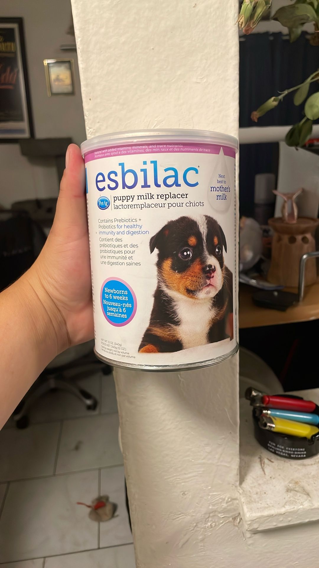 puppy esbilac