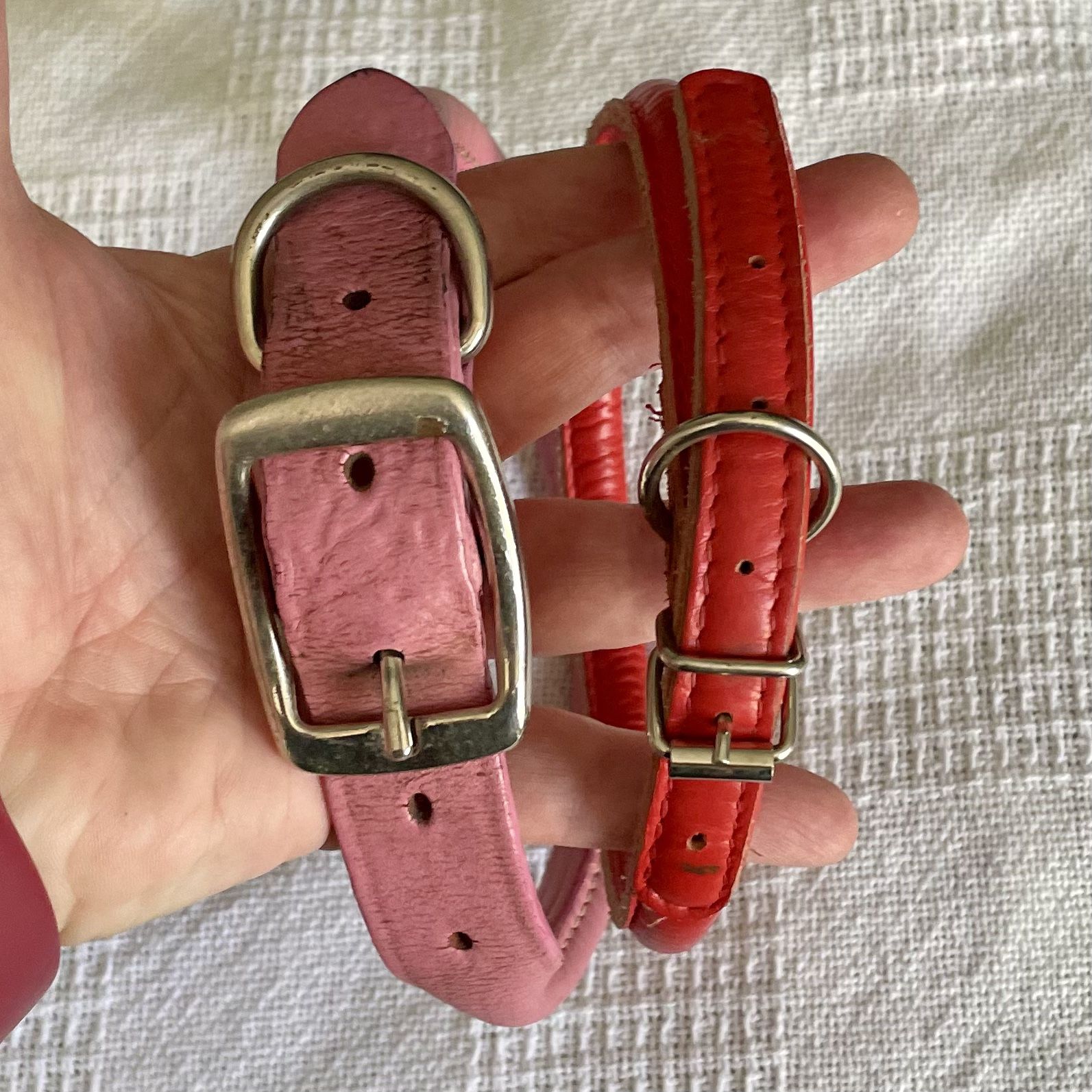 Rolled Leather Dog Collars