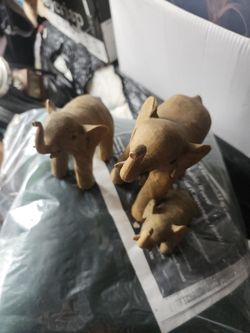 elephants