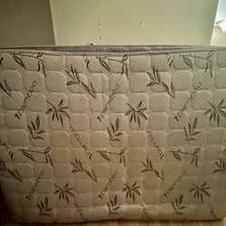 FREE: Mattress and box springs