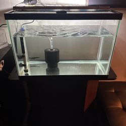 20 Gallon Fish Tank With Stand 