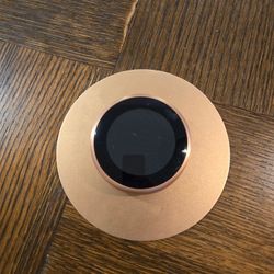 Copper Google NEST And Copper Back Ring