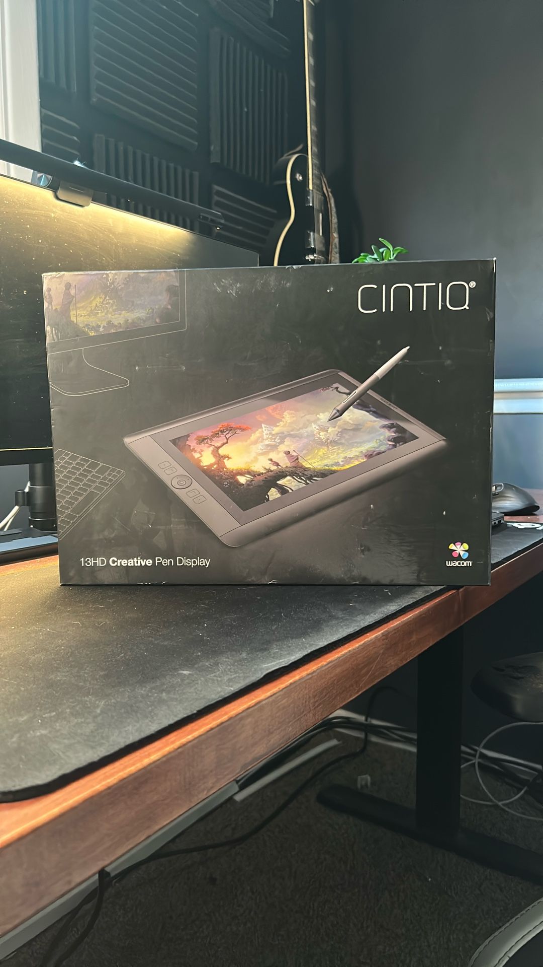 🎨 Wacom Cintiq 13HD Drawing Tablet