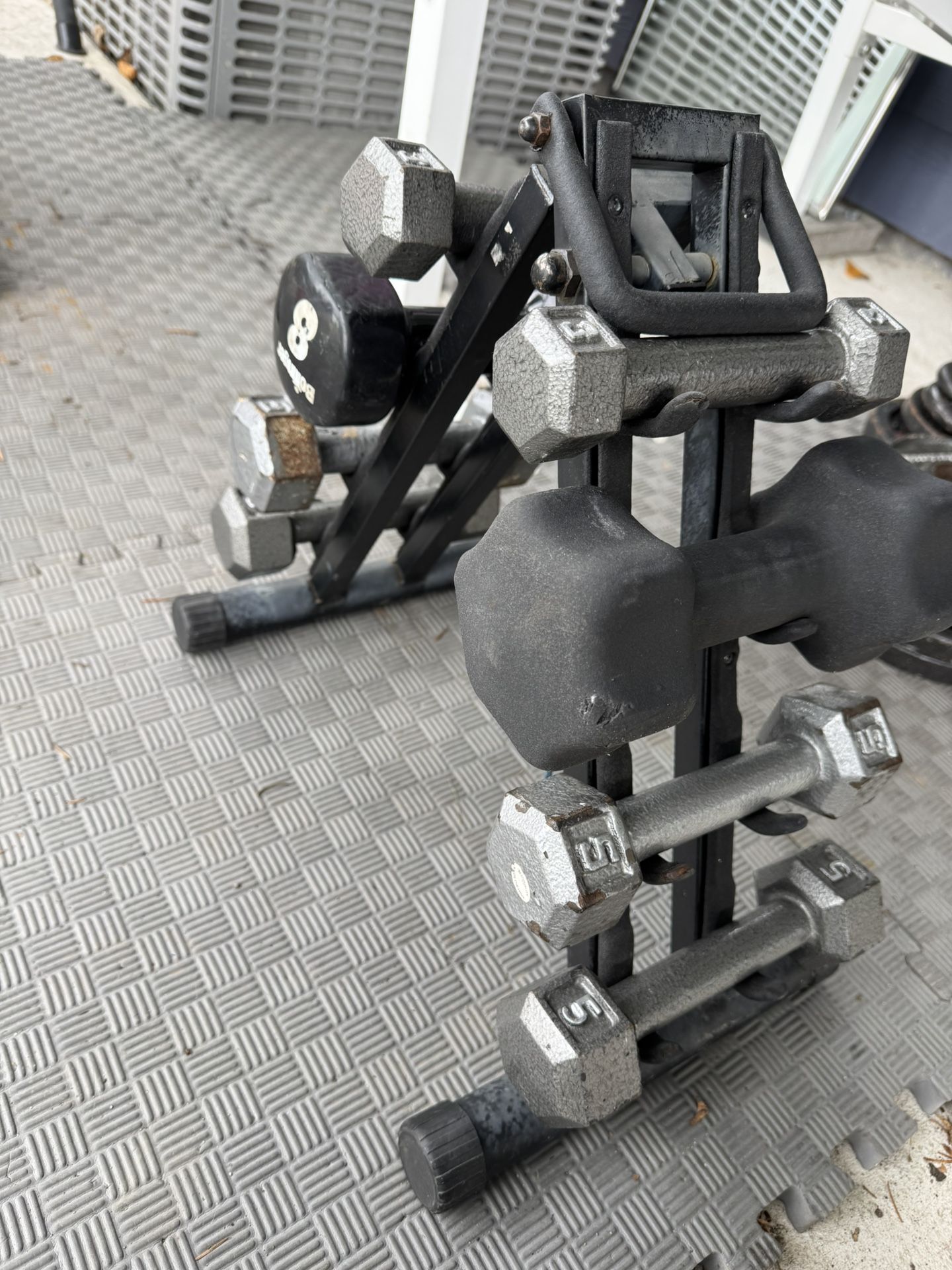 Dumbbells With Stand