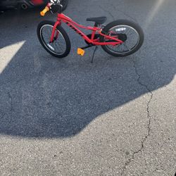 Trek 20” Bike Unisex