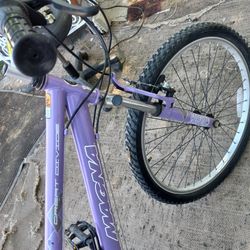 Magna 24 online inch mountain bike