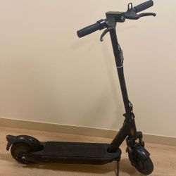 Ninebot Max Electric Scooter (custom)