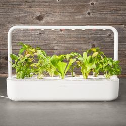 Click & Grow Smart Garden 9