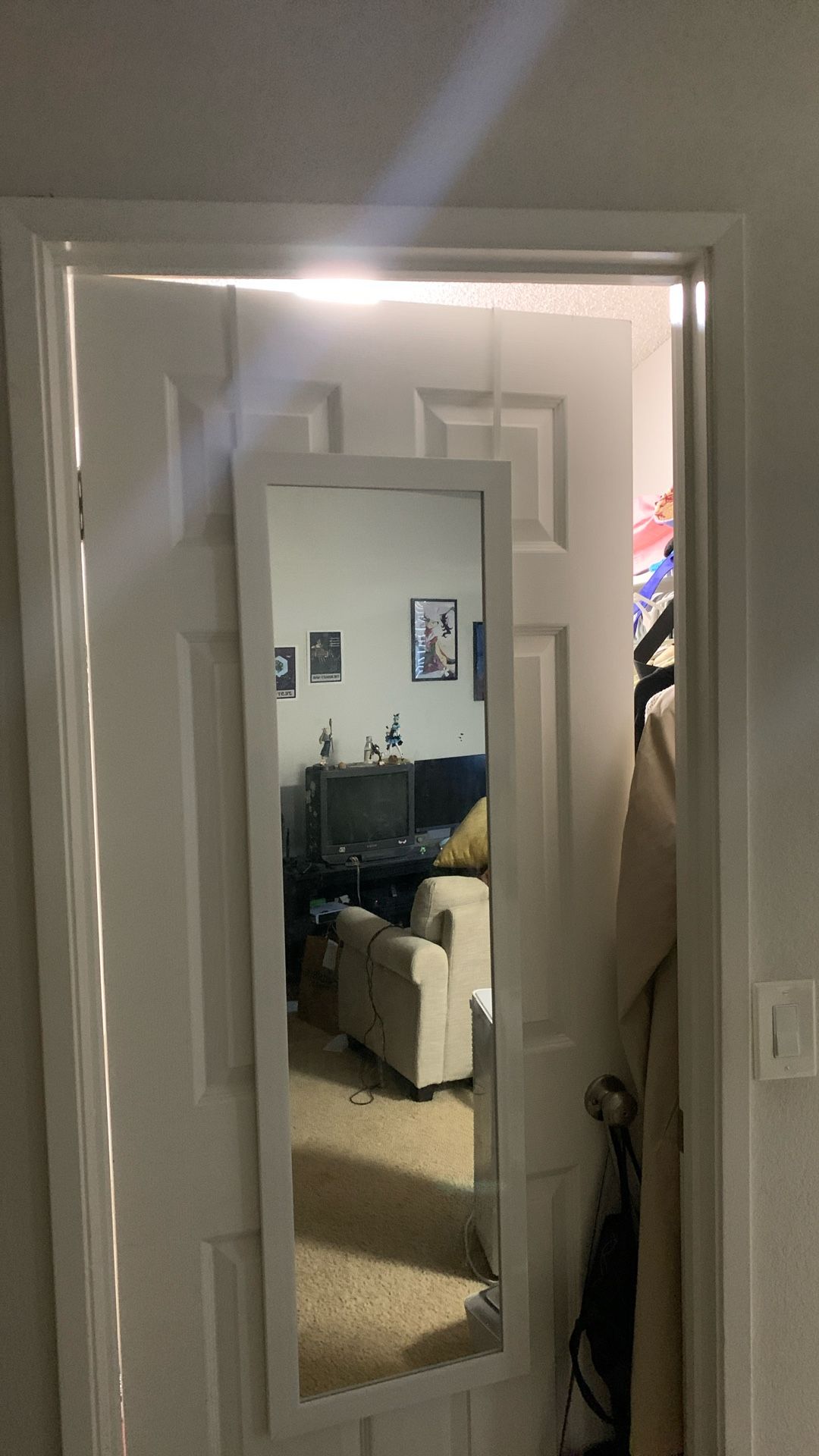 Door Hanging Mirror