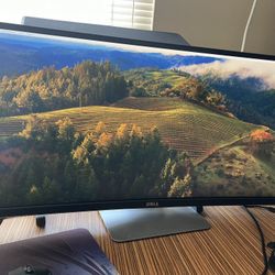 DELL U3415 Curved 