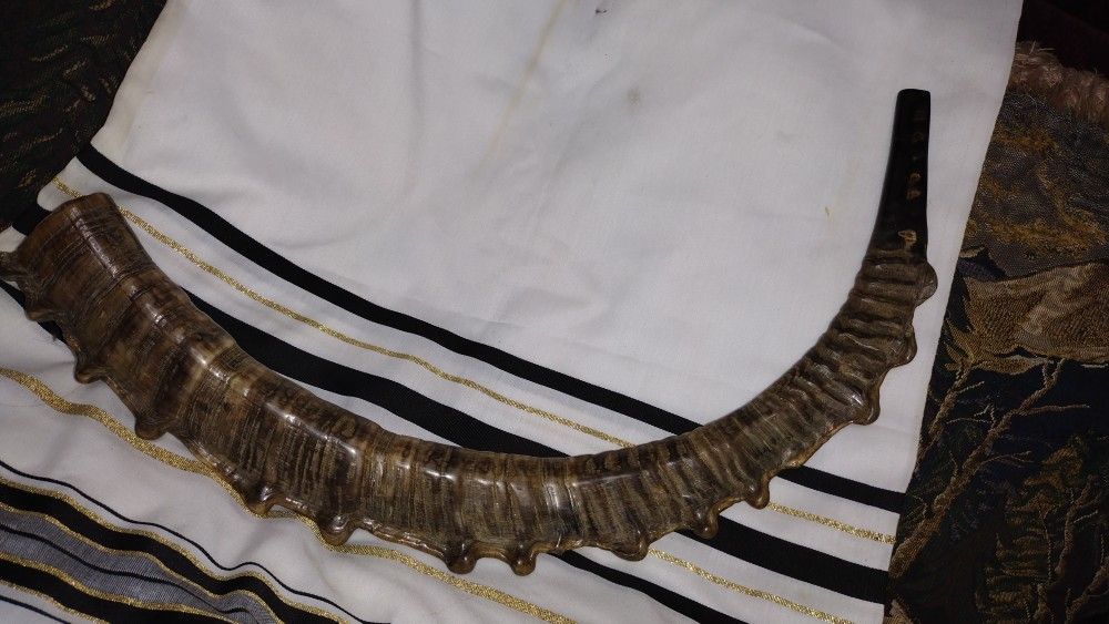 Shofar/ Ibex/Exótico/Kosher