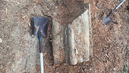 Big chunk of cedar and others