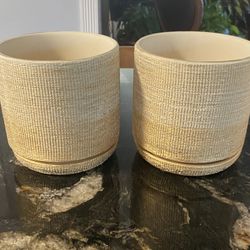 Ceramic Pots New Size 6” $10 Each
