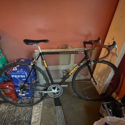 Used Carbon & Aluminum Trek 2100
