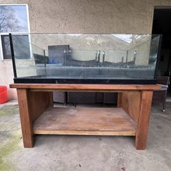 Large Glass Aquarium Tank