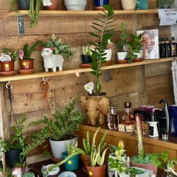 A Treasure Trove for Plant Lovers!