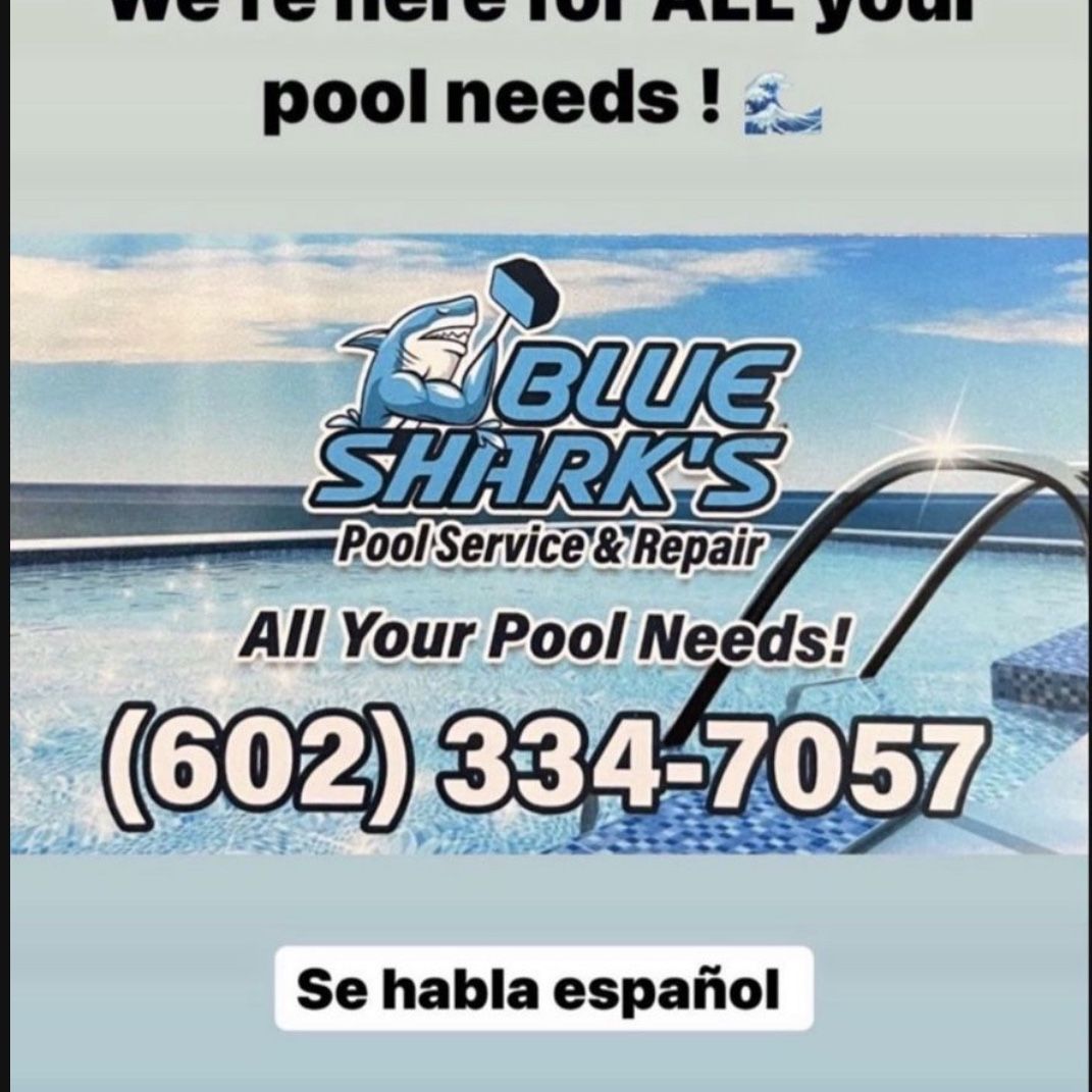 Pool Service And Repairs 