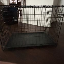 Dog Create