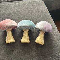 House Decor