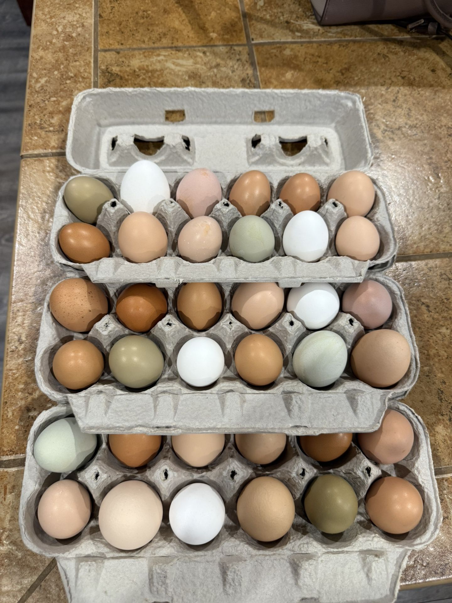 Filled Egg Cartons! 