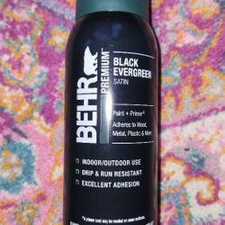 Dark Green Spray Paint BEHR