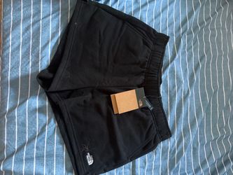 North face shorts