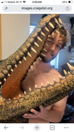 Large Alligator or Crocodile Skull Replica