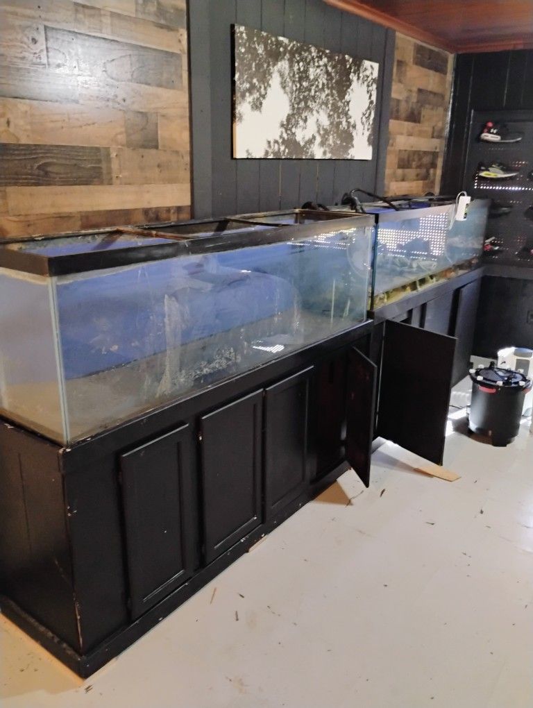Fish Tank 125 G