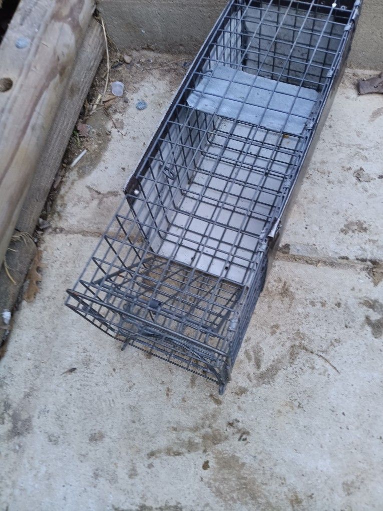 Small Trap