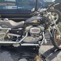 2005 harley davidson sportster 1200 for sale deals