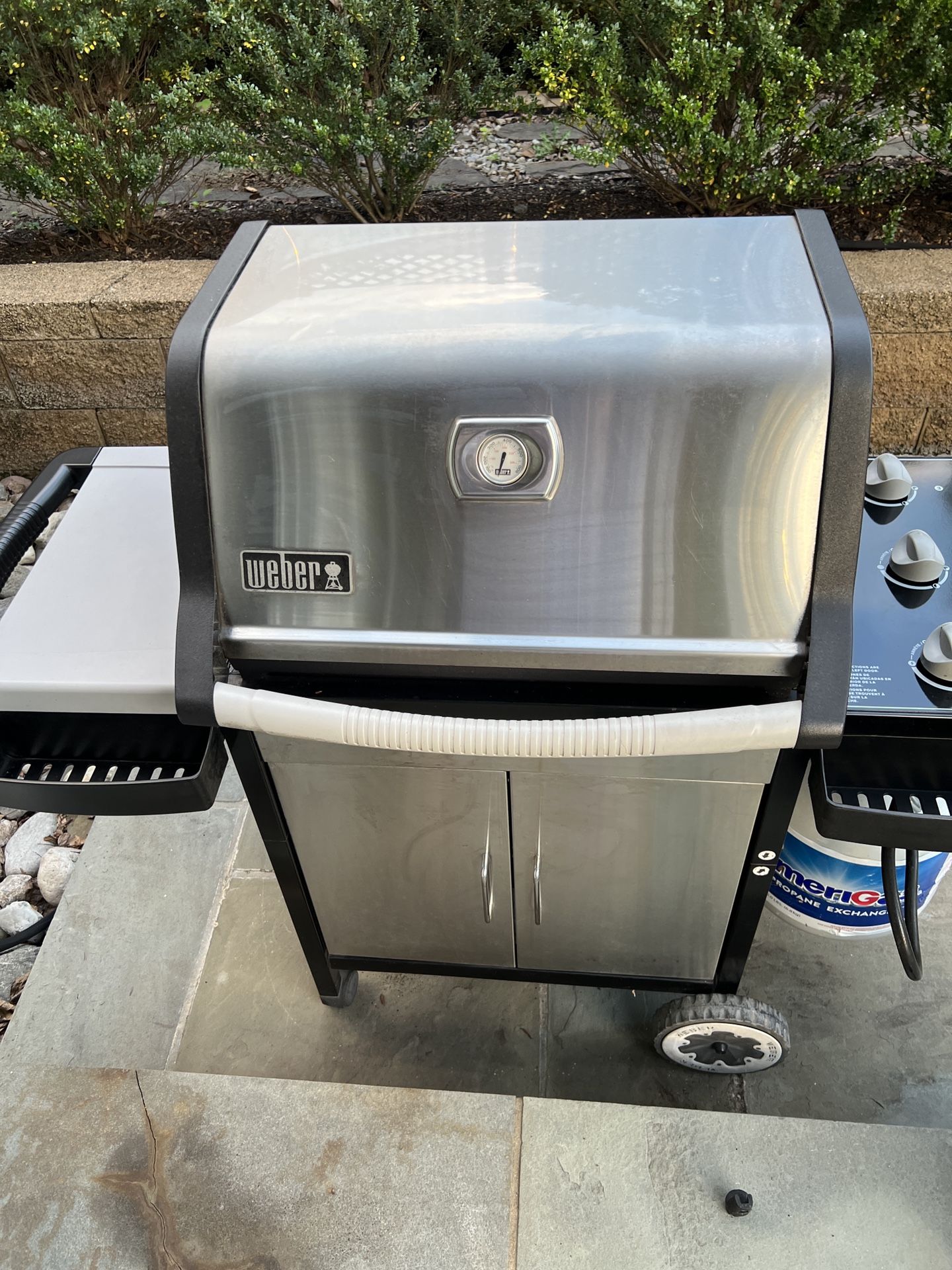 Weber Bbq/Grill