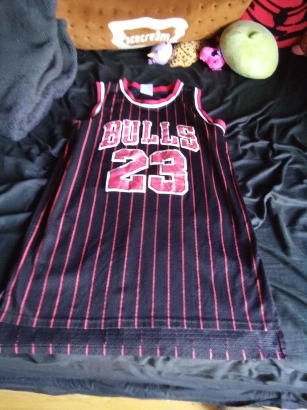 Raavin Basketball Jersey Bulls 23 Size Small 