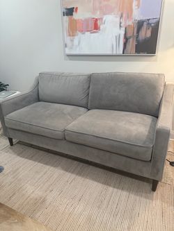 West Elm - Gray Velvet  Sofa