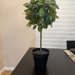 Ikea Fejka artificial plant