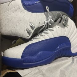 Jordan 12 Blueberry Sz 13