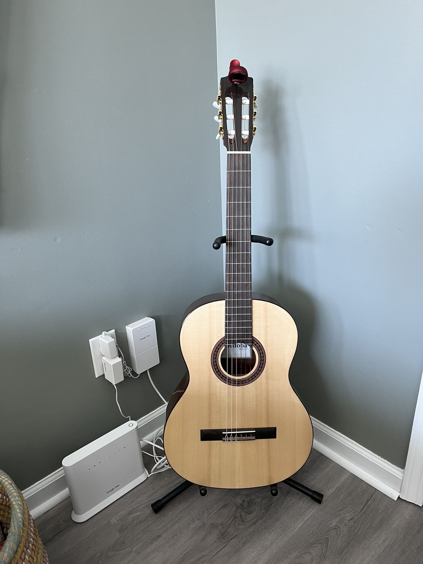 New Cordoba C5 Guitar