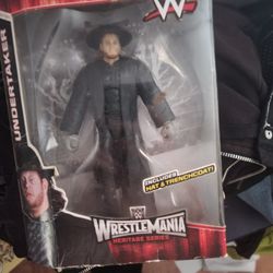 2015 UNDERTAKER