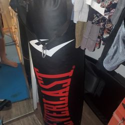 New never used 100lb heavy bag