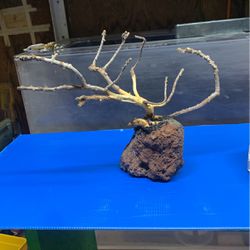 Fish Tank Drift Wood Bonsai Lava Rock Decoration