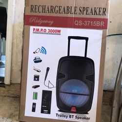 Wireless Party Speaker - 15” Woofer - 3000 Watts 