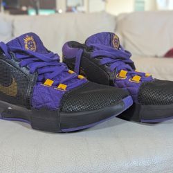 LeBron Purple And Gold Nike 