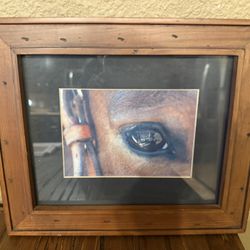 Horse framed print 
