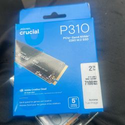 P310 Crucial SSD 2TB
