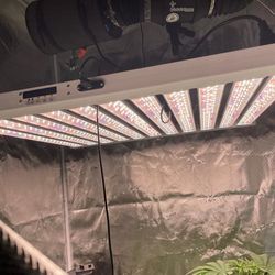 Led Grow Light 