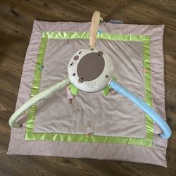 Fisher Price Activity Gym 