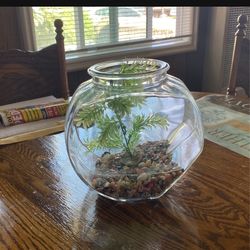 SMALL FISH TANK 